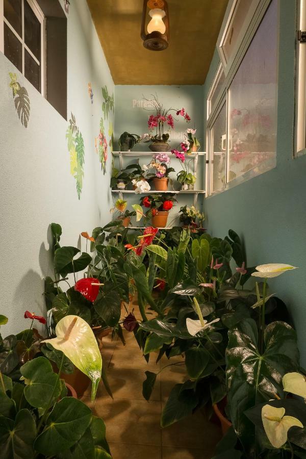 Paradise House Calheta Buitenkant foto